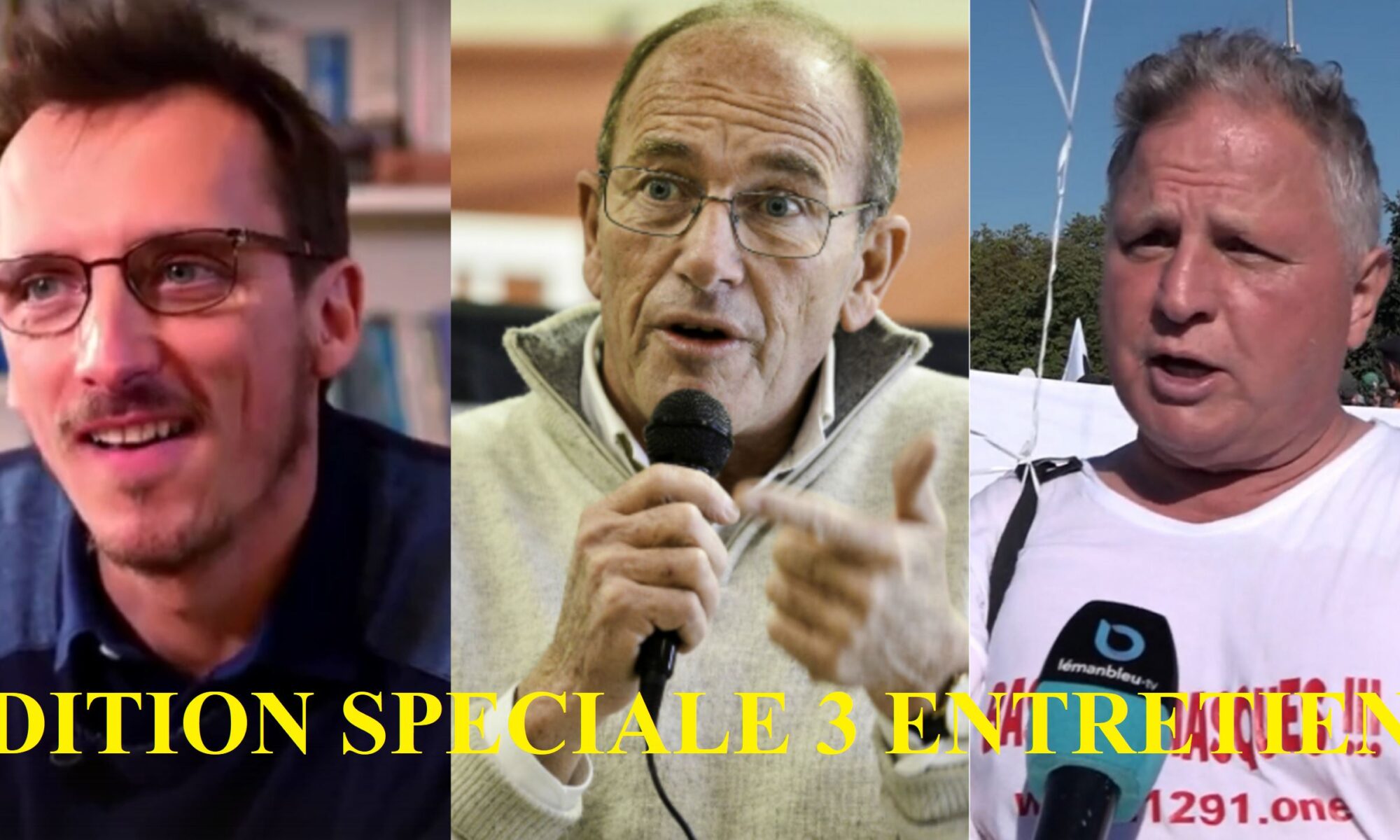 3 entretiens avec Louis Fouché, Etienne Chouard et Francois de Sibenthal