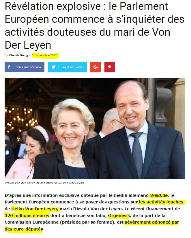 Heiko von der Leyen - Corruption
