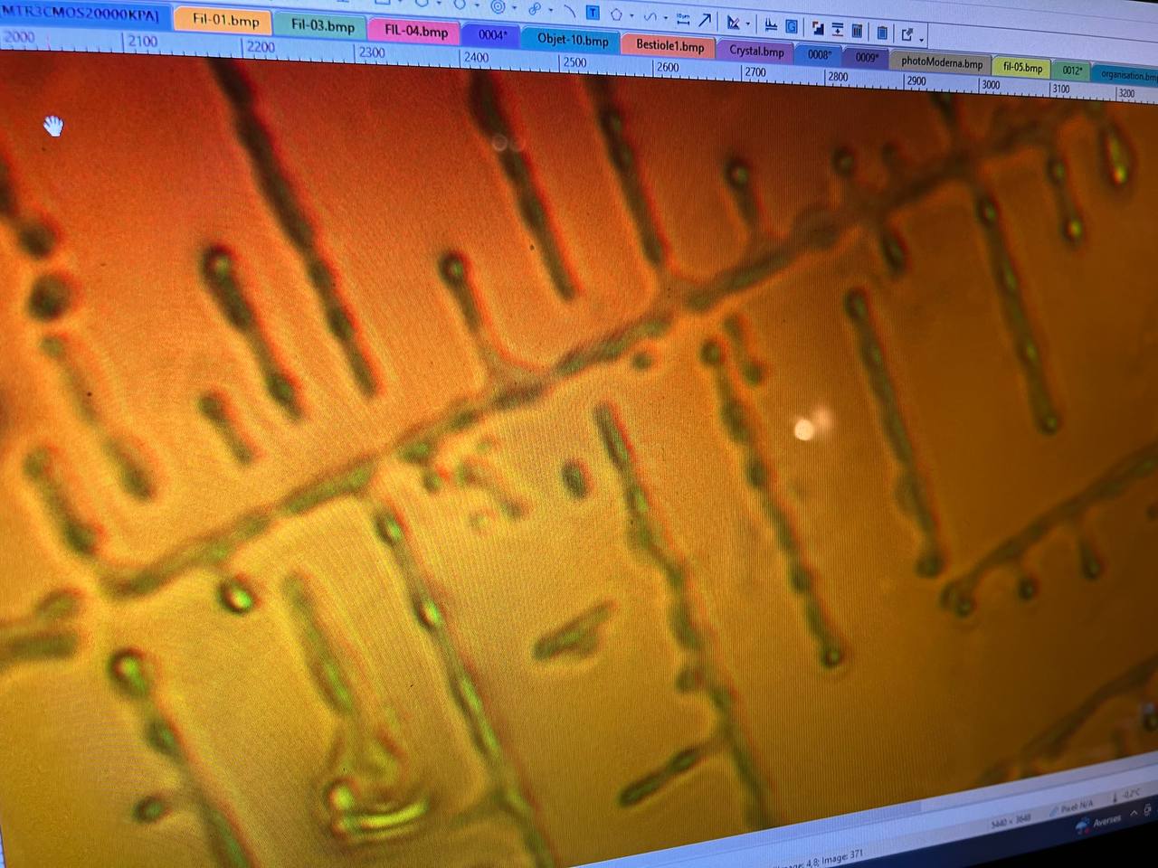 Gros plan des auto-assemblage d'objets dans le vaccin Pfizer seché et soumis à la 5G